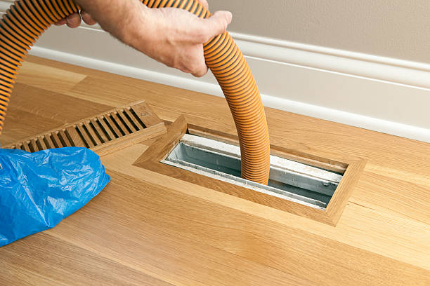 Best Local Air Duct Cleaning Services  in Lapeer, MI